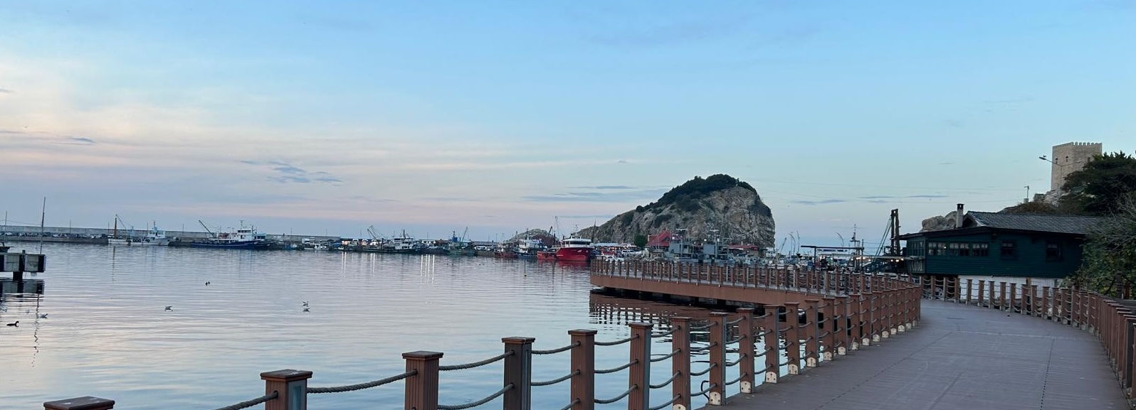 Advances in Energy Materials & Technologies, AdvEnMaT-26