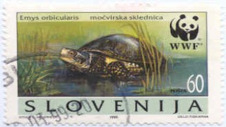 Slovenia